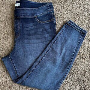 Lane Bryant Jeggings